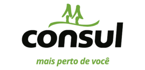 Logo-Consul-Ecommerce